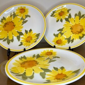 Mikasa Flora D1379 Cera-Stone Dinner Plates (3) Japan Vintage